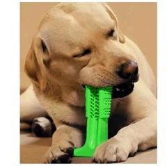 BUFFER® Köpek Diş Temizleyici ve Kaşıyıcı Sağlıklı Küçük Boy Oyuncak