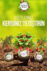 BUFFER® Konserve Bahçem Evde Konservede Acı Saksı Biberi Yetiştirme Kiti