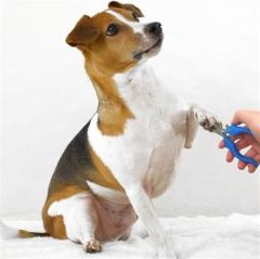 BUFFER® Evcil Hayvan Kedi ve Köpek Paslanmaz Çelik Yaylı Tırnak Makası ve Düzeltme