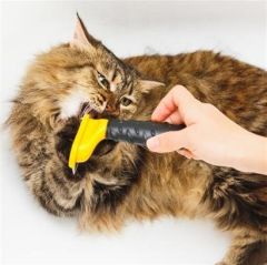BUFFER® Uzun Tüylü Köpekler İçin Kolay Tarama Fırçası Temizlenebilir Çelik Tarak Tüy Toplayıcı Mediu
