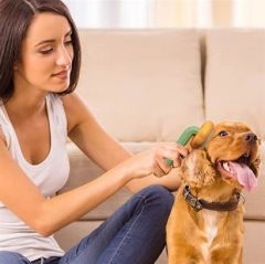 BUFFER Plastik Yeşil Evcil Hayvan Bakım  Pet Fırçası Çok Amaçlı Pet Fırçası Yeşil