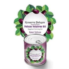 BUFFER® Konserve Bahçem Evde Konservede  Kemer PatlıcanYetiştirme Kiti