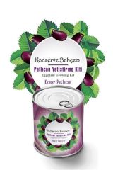 BUFFER® Konserve Bahçem Evde Konservede  Kemer PatlıcanYetiştirme Kiti